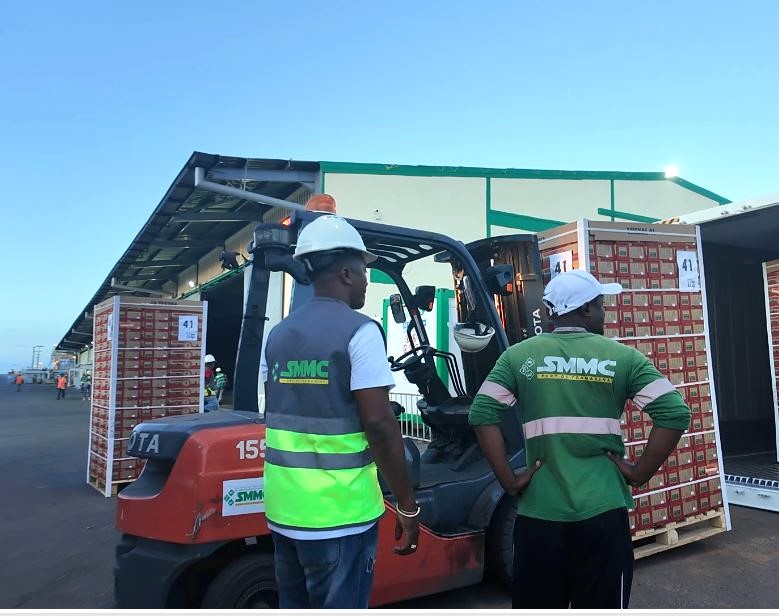 Exportation de litchis 2025 : une campagne réussie pour Madagascar