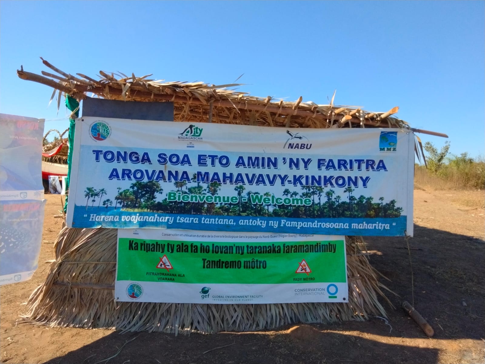 Arovana